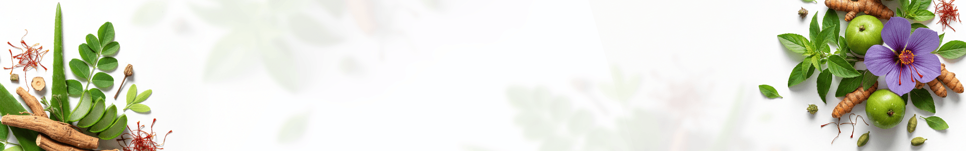 blog banner