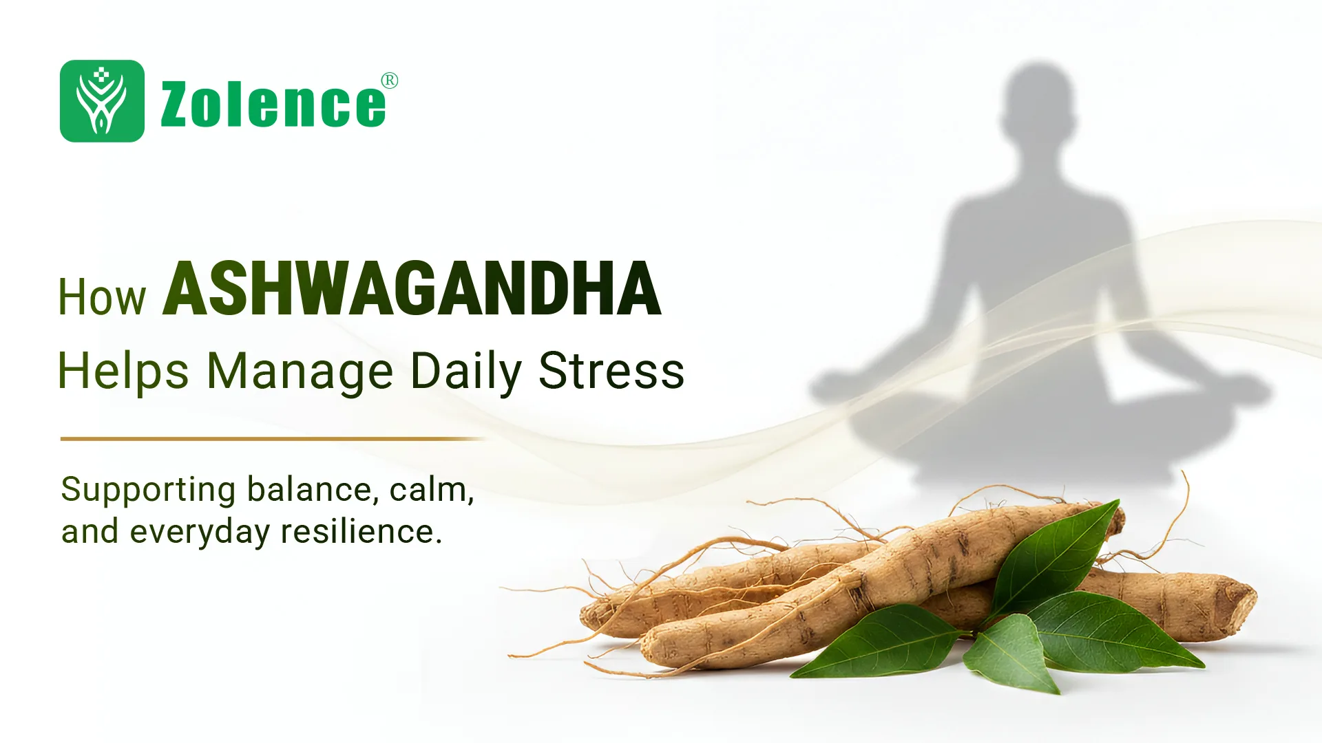Ashwagandha Helps Manage Daily Stress